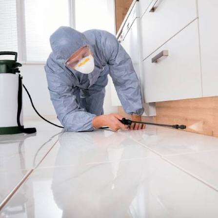 Indore Pest Control | +91 70111 51215