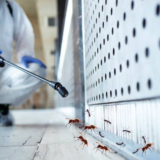 Indore Pest Control | +91 70111 51215